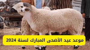 فلكيًا: ما هو موعد عيد الأضحى في مصر وبعض الدول العربية.. وهل يوجد اختلاف في مواعيد