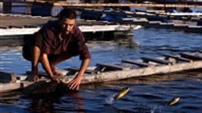 رئيس الثروة السمكية عن تطبيق فترة منع الصيد في مصر