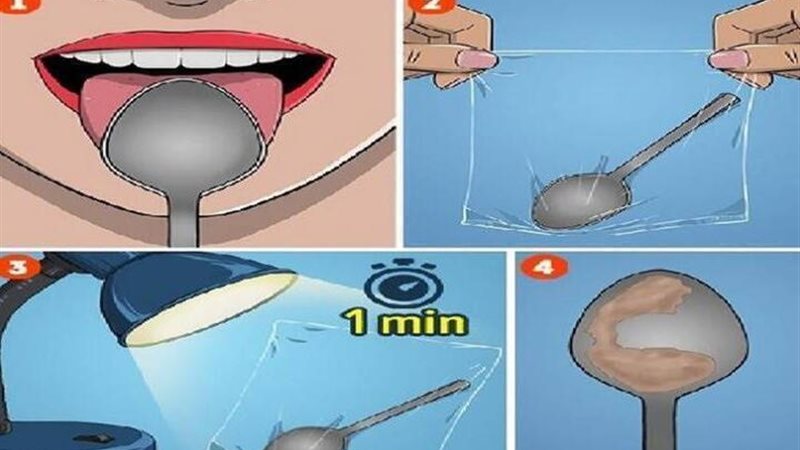 الحق والضلال