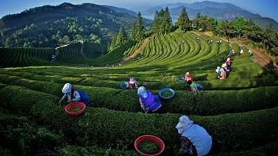 من مزارع فقير ل اغني رجال العالم ويصبح اخطر رجل عرفته البشريه بالصور