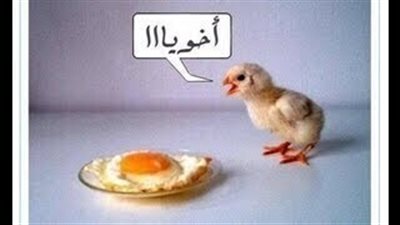 مواقف مضحكة جــــدا