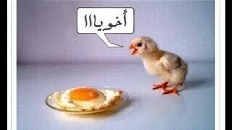 الحق والضلال