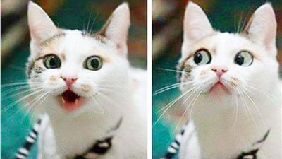 شاهد منظر مراتك لما تسألها وديتى المرتب فين !!!