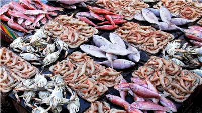 الجمبري مولع نار  .. اسعار الأسماك الطارجة والمجمدة بالاسواق اليوم 