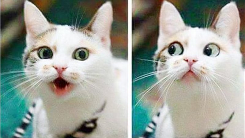 الحق والضلال