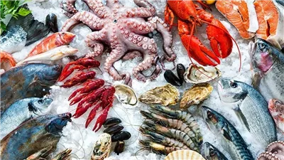 أسعار الاسماك اليوم في الأسواق .. الجمبري يبدأ من 175 جنيهًا والبوري يسجل تراجعًا ملحوظًا