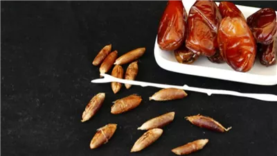 مصدر للغذاء والطاقه... هذا ما يحدث لجسمك عند تناول 3 حبات من البلح يوميا