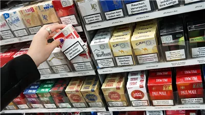 كليوبترا ولعت خالص .. فيليب موريس يصدر قرار جديد بشأن أسعار السجائر بعد فرمان ايسترن كومباني 