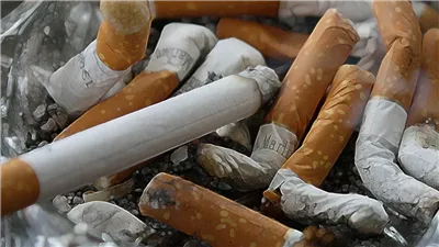 في صالح المدخنين قرار عاجل من شعبة السجائر ت لزم به جميع الشركات