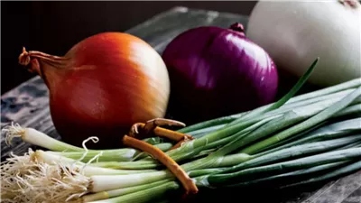 البصل بـ 8 والثوم بـ 15 انهيار بأسعار الخضراوات اليوم في السوق