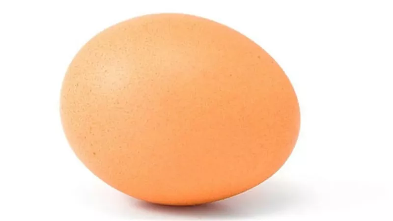 أسعار البيض البلدي