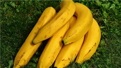 عارف ايه هيحصلك لو اكلت  3 موزات على معدة فاضية؟...لن تتوقع ما سيحدث لك بعد تناول الموز