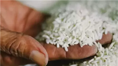 تعرف على أماكن الحصول على كيلو ارز ب 10 جنية و نص فقط