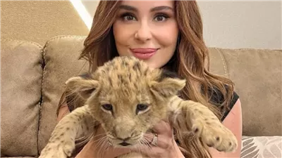 اعترافات انوسة كوتة فى تحقيقات النيابة تفاجئ الجميع وتكشف مفاجأة جديده عن بطل حادثة السيرك محمد البسطويسي