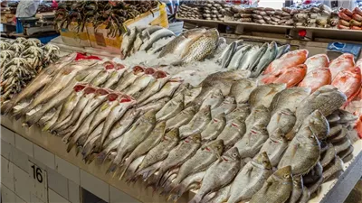 اسعار السمك فى مصر اليوم الخميس 23 يونيو 2022