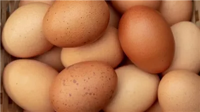 التكلفة الفعلية لكرتونة البيض  80 جنيهًا فقط...تحركات عاجلة وسريعة من الحكومة بعد الارتفاع الكبير في أسعار البيض