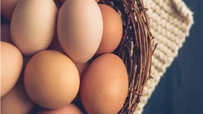 وزارة التموين والتجارة الداخلية تخفيض سعر البيض 