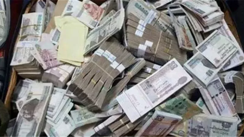 سيدة تعترف بسرقة