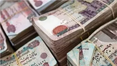 ستصبح من الأغنياء كيف تحصل على  18 ألف جنيه أرباح شهرية من شهادات المليونيرات بالبنوك