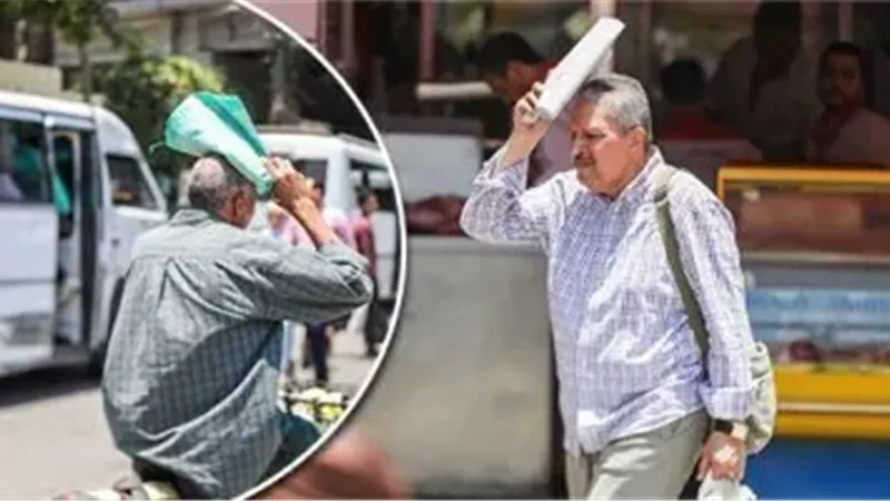 حالة الطقس في مصر