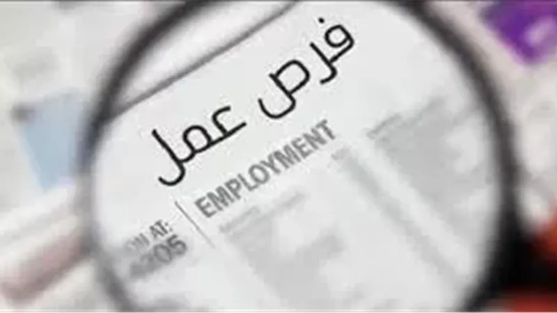 توفير فرص عمل جديدة