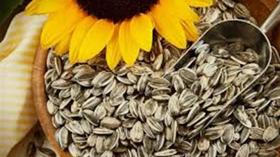 محدش هيصدق اللي بيحصل 9 فوائد مذهلة لـ اللب السوري تجعلك تتناوله يوميا