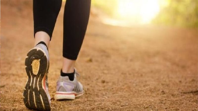 الكولسترول 