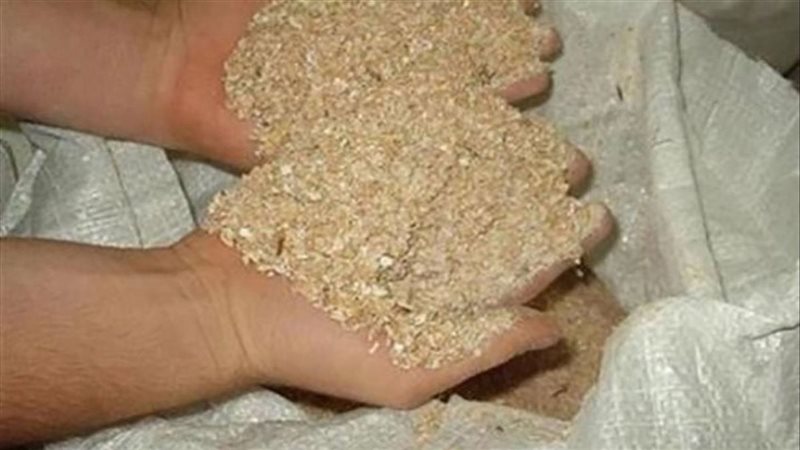 الحبوب