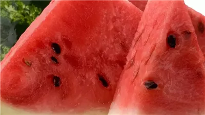 اعرف السبب وراء إصابتك بالإسهال بعد تناول البطيخ مباشرة