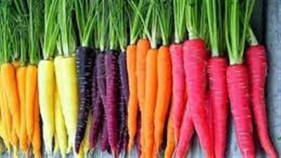 فوائد الجزر السحرية على الجسم والبشرة والشعر ومكافحة الشيخوخة