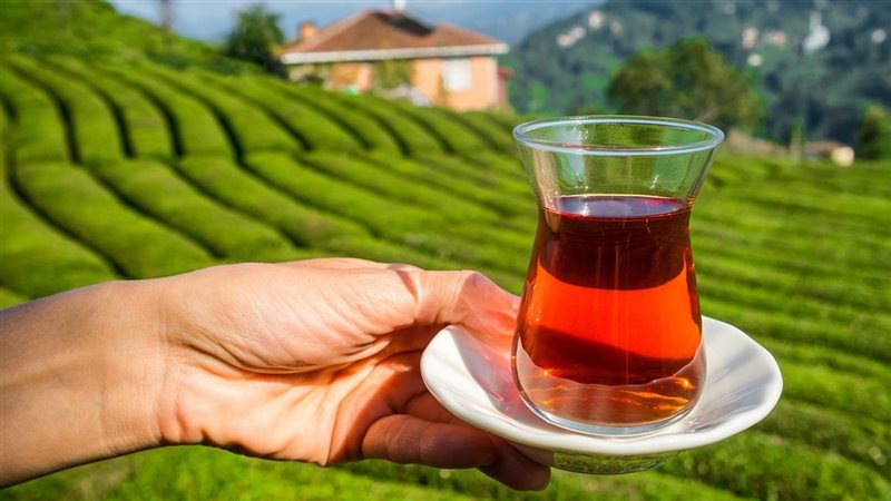 قرار وزير التموين