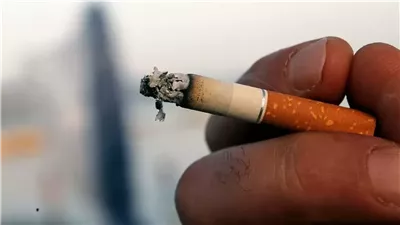 بشرى سارة اعرف السبب وراء وقف زيادة أسعار السجائر في السوق المصري