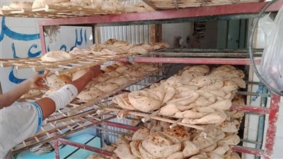 مسؤول يجيب عن تساؤلات المواطنين حول وزن الرغيف بعد زيادة سعره