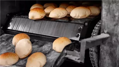 الحقيقة الكاملة وراء تقليص حصة المواطن من الخبز بعد رفع سعره