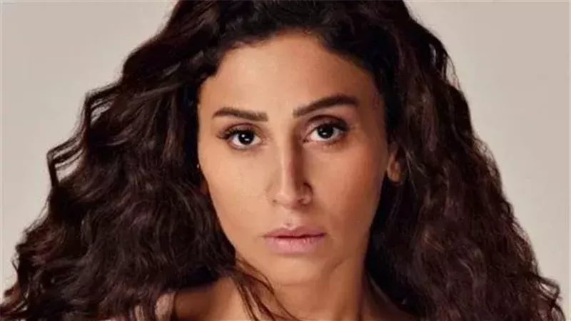 سعر فستان دينا الشربيني