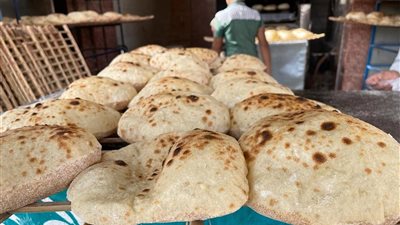 برد قاطع .. التموين تحسم الجدل حول حصة المواطن من الخبز البلدي المدعم 