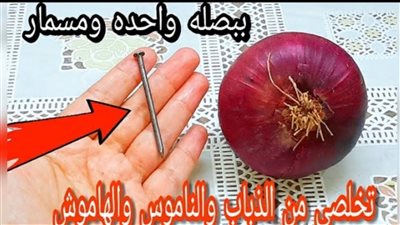 فكرة خطيرة  .. هاتي بصلة ومسمار وتخلصي فورا من النمل والناموس في دقائق بهذه الطريقة 