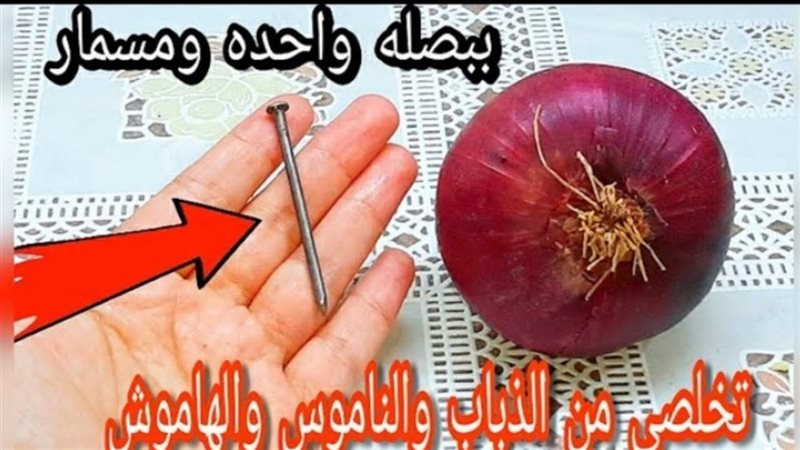 طرق التخلص من الحشرات
