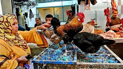 أسعار الدواجن تخالف التوقعات وتواصل الصعود وهذا سعر الكيلو الآن