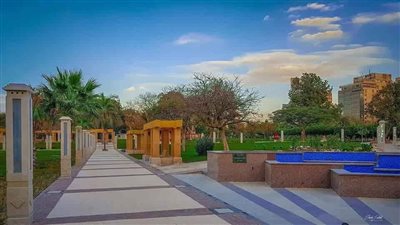 قطع الأشجار.. اعرف قرار وزيرة البيئة بعد واقعة قطع أشجار الميرلاند