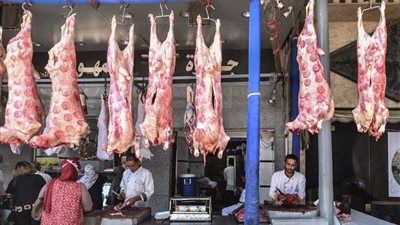 التموين تزف بشري ساره للمواطنين بشأن أسعار اللحوم بمنافذ الوزارة