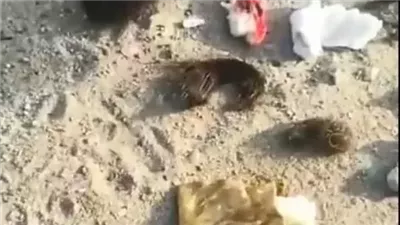 السبب وراء حرص الساحر على وضع الأعمال في جبل عرفات بالتحديد