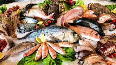 سعر السمك اليوم في مصر بكل أنواعه من البلطي إلى الجمبري داخل الأسواق المحلية 