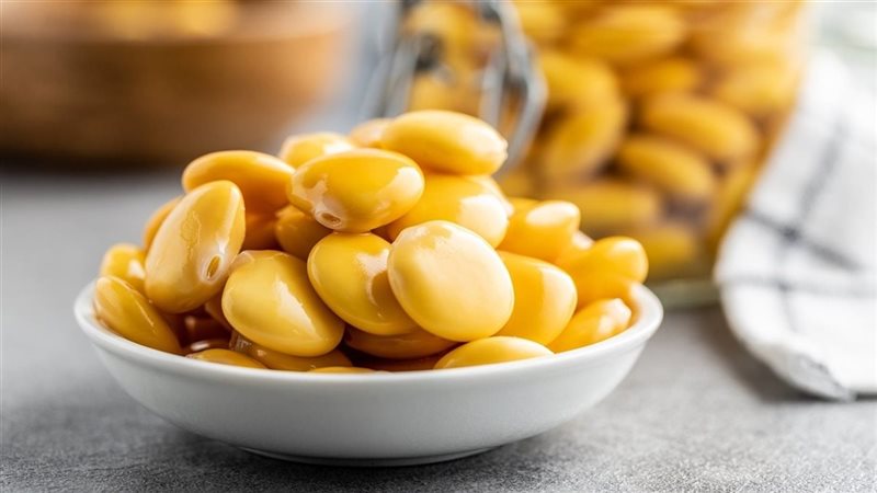 الترمس