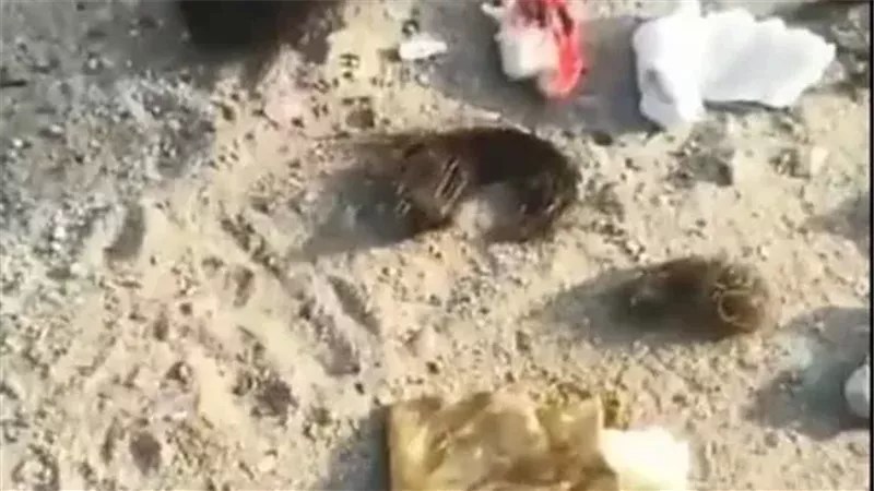 اعرف السبب وراء وضع