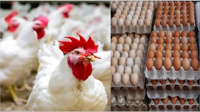 انخفاض بيفرح المواطنين