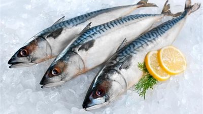 بعد تراجع سعر الفراخ .. مفاجأة بشأن أسعار السمك البلطي والبوري في الأسواق اليوم اعرف الجمبري وصل كام 