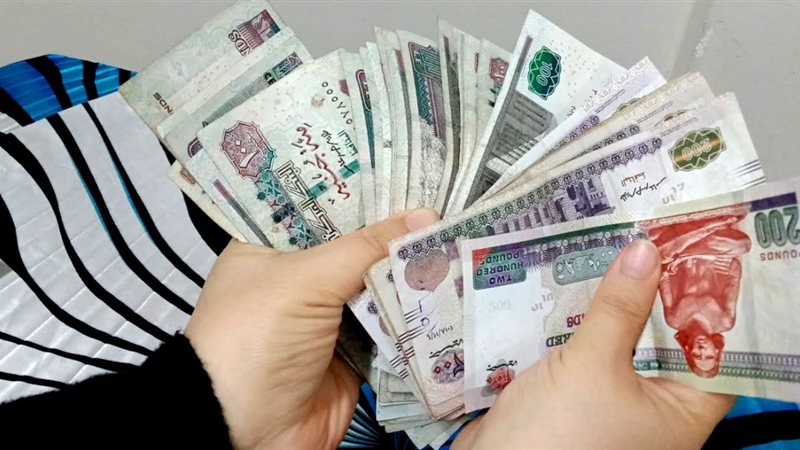 العائد