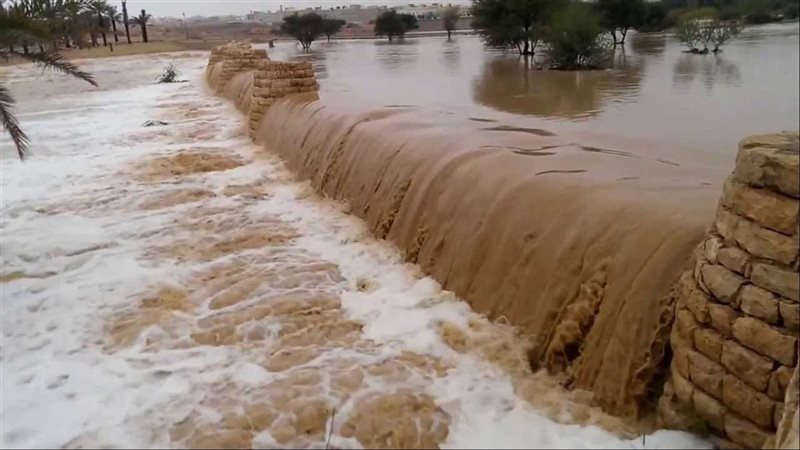 سيول