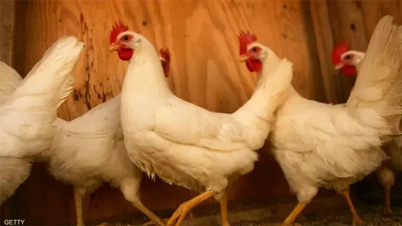 4 أجزاء موجودين في